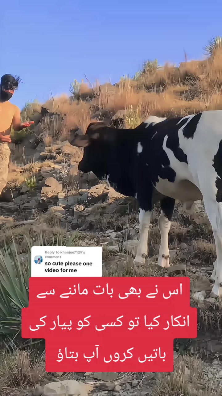 @%ʄօʝɨɮօʏ%🇵🇰🇵🇰😎
