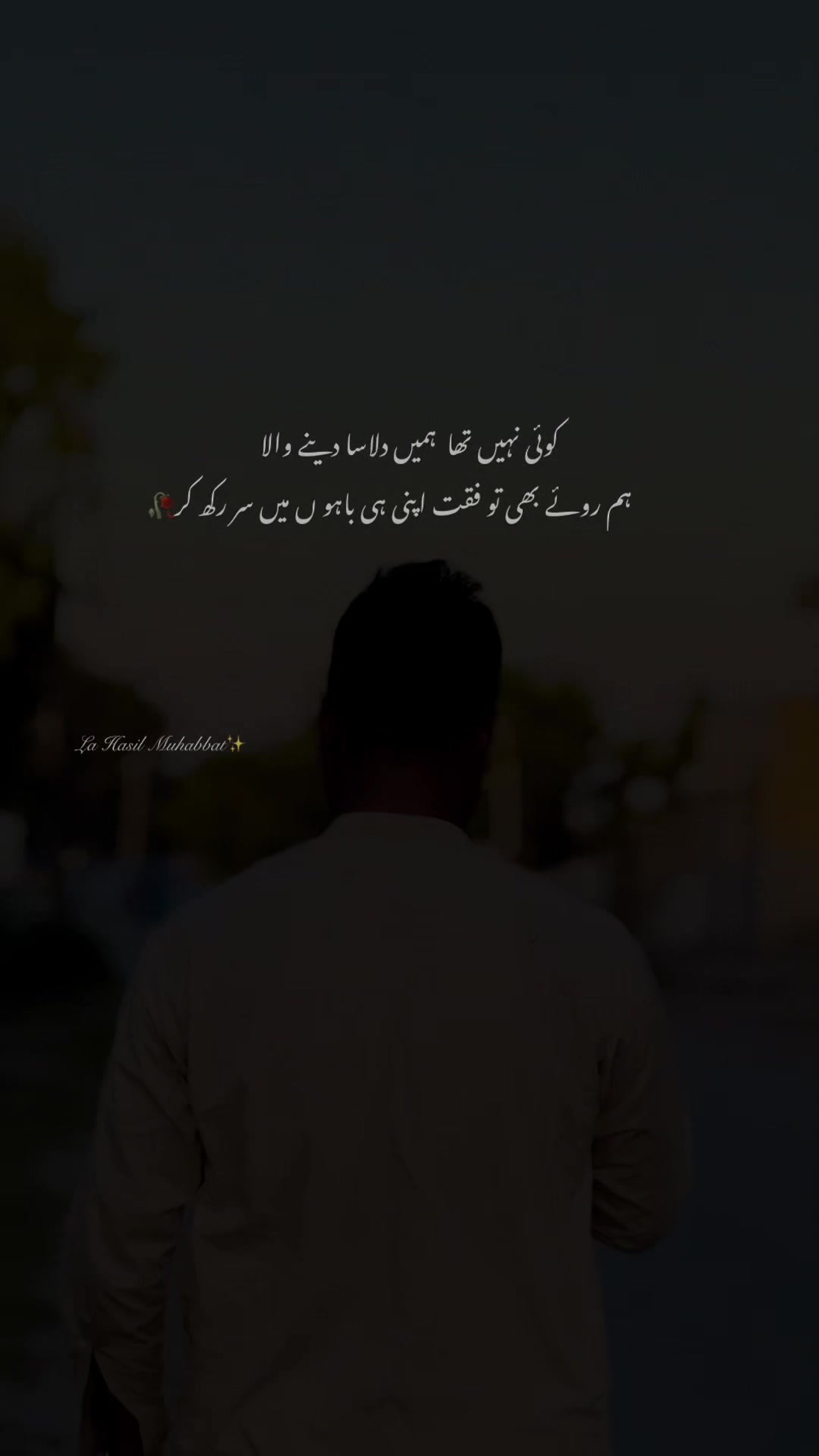 @لا حاصل محبت💔