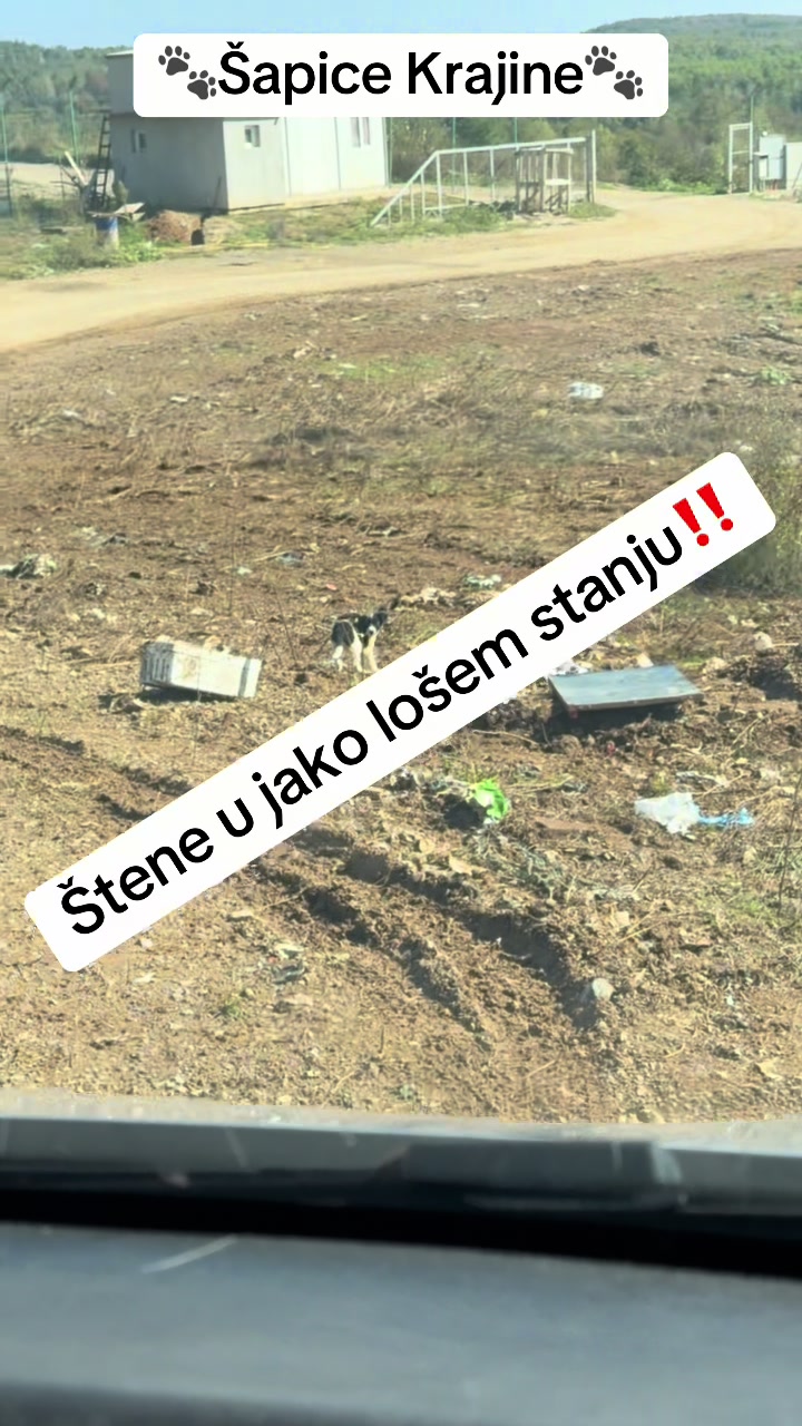 @Šapice Krajine