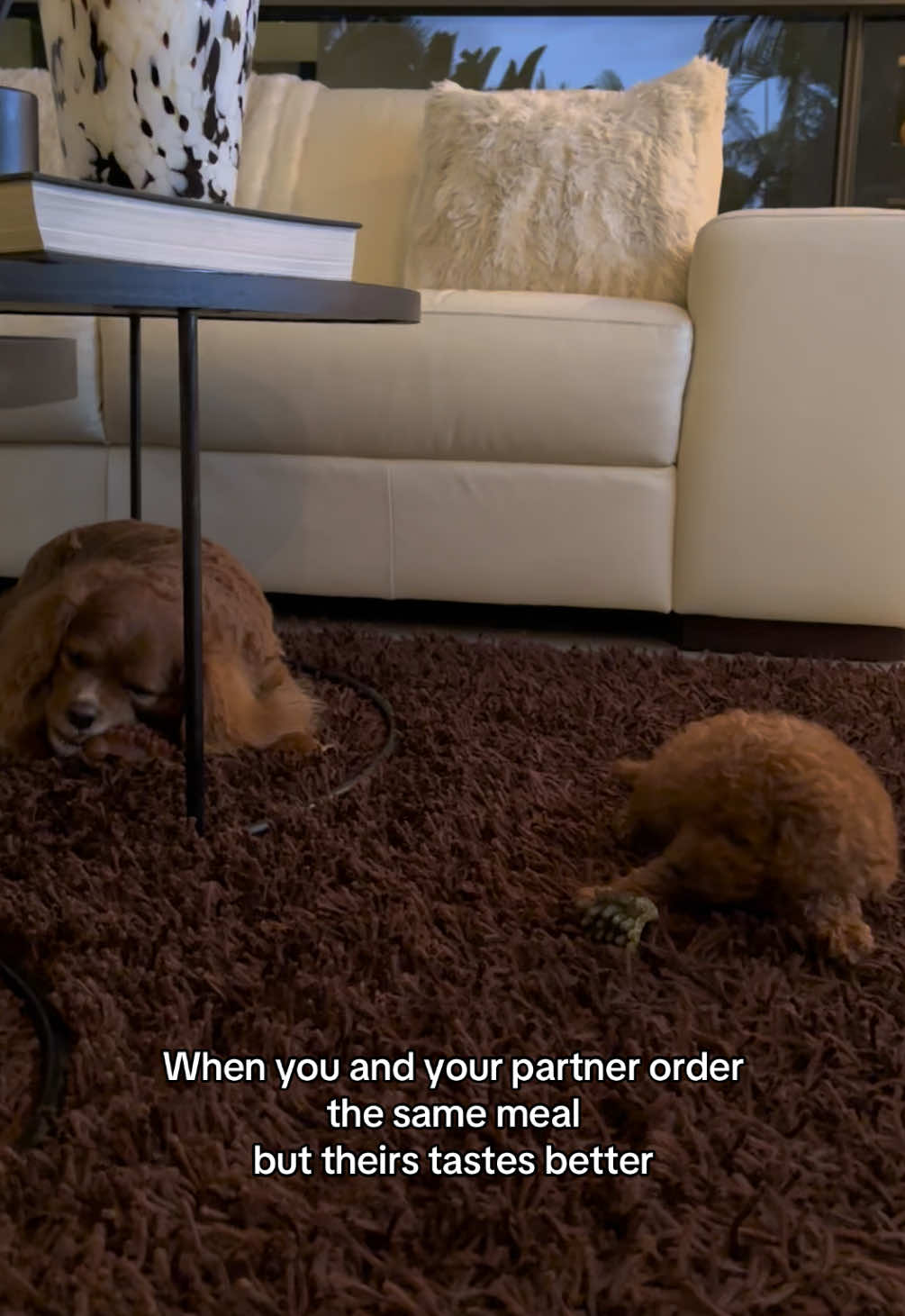 @peppermytoypoodle