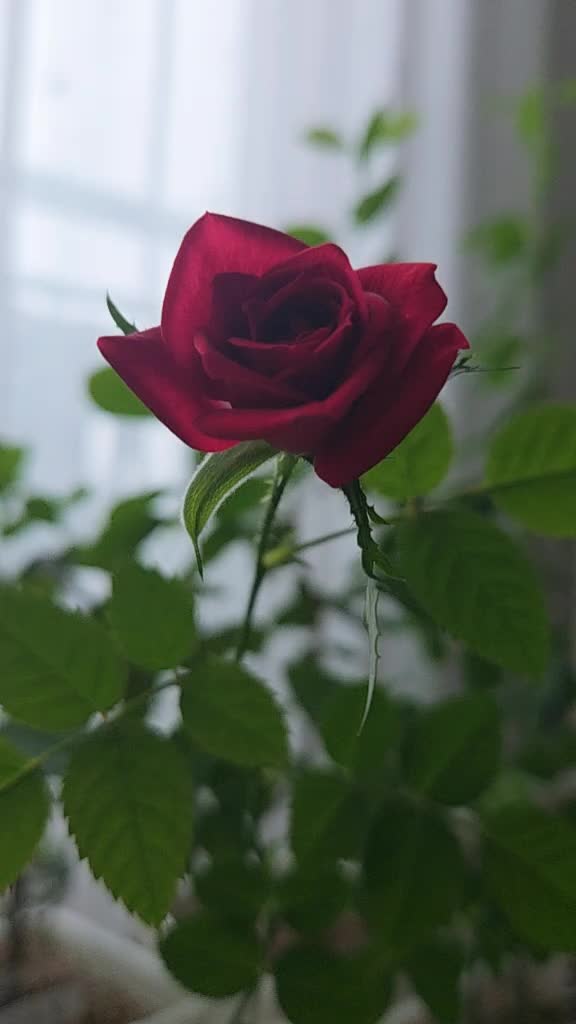 @법무사