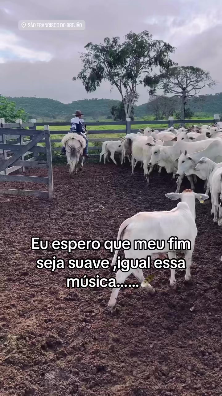 @Dudu Nunes!!