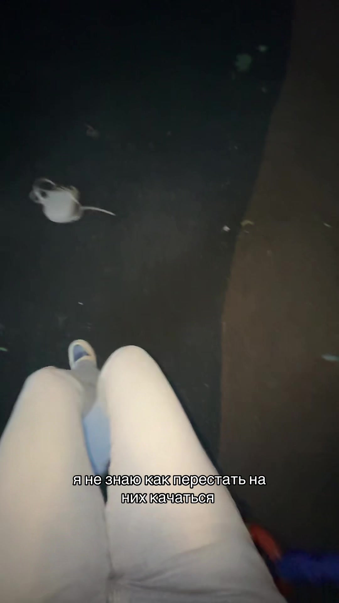 @gleyss__