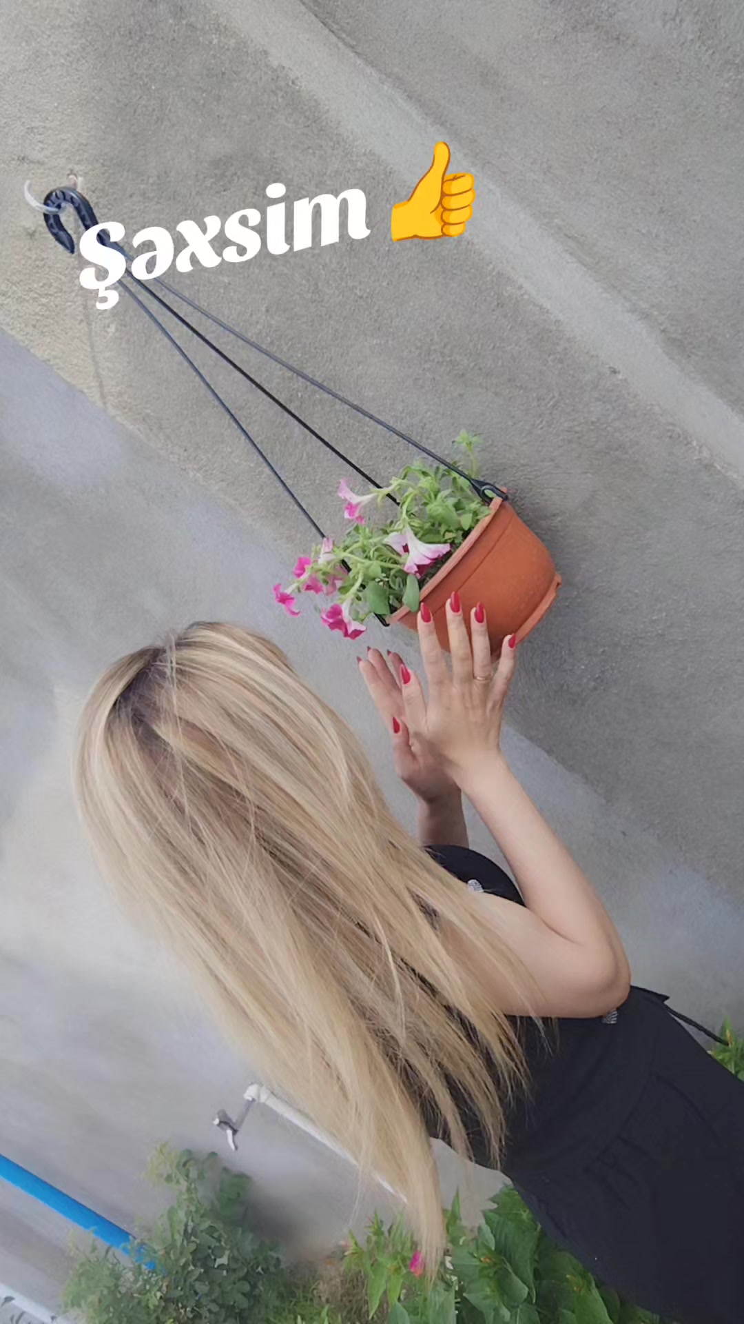 @E. L. Y. A