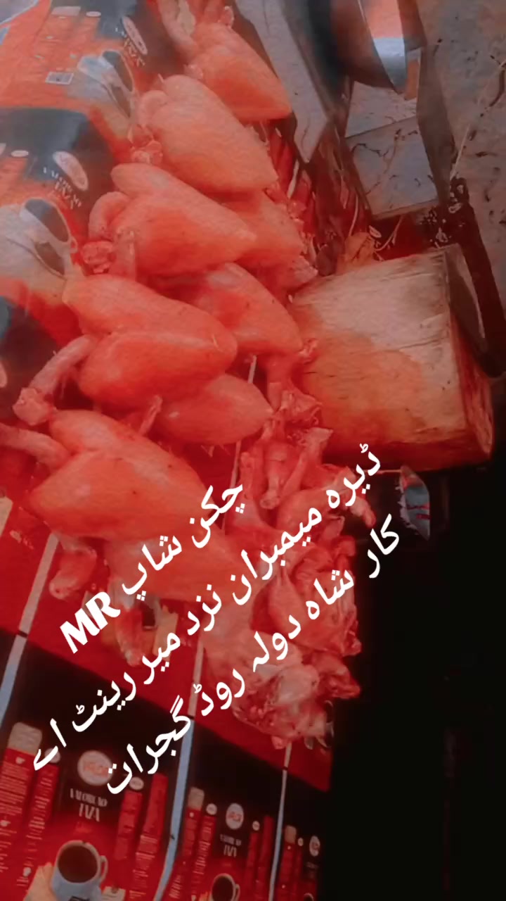@👑 ANSARI BADSHA👑