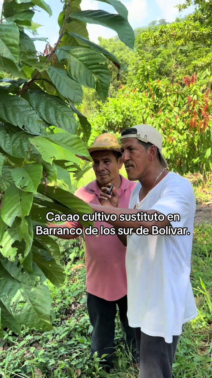@El Ñato Oscar