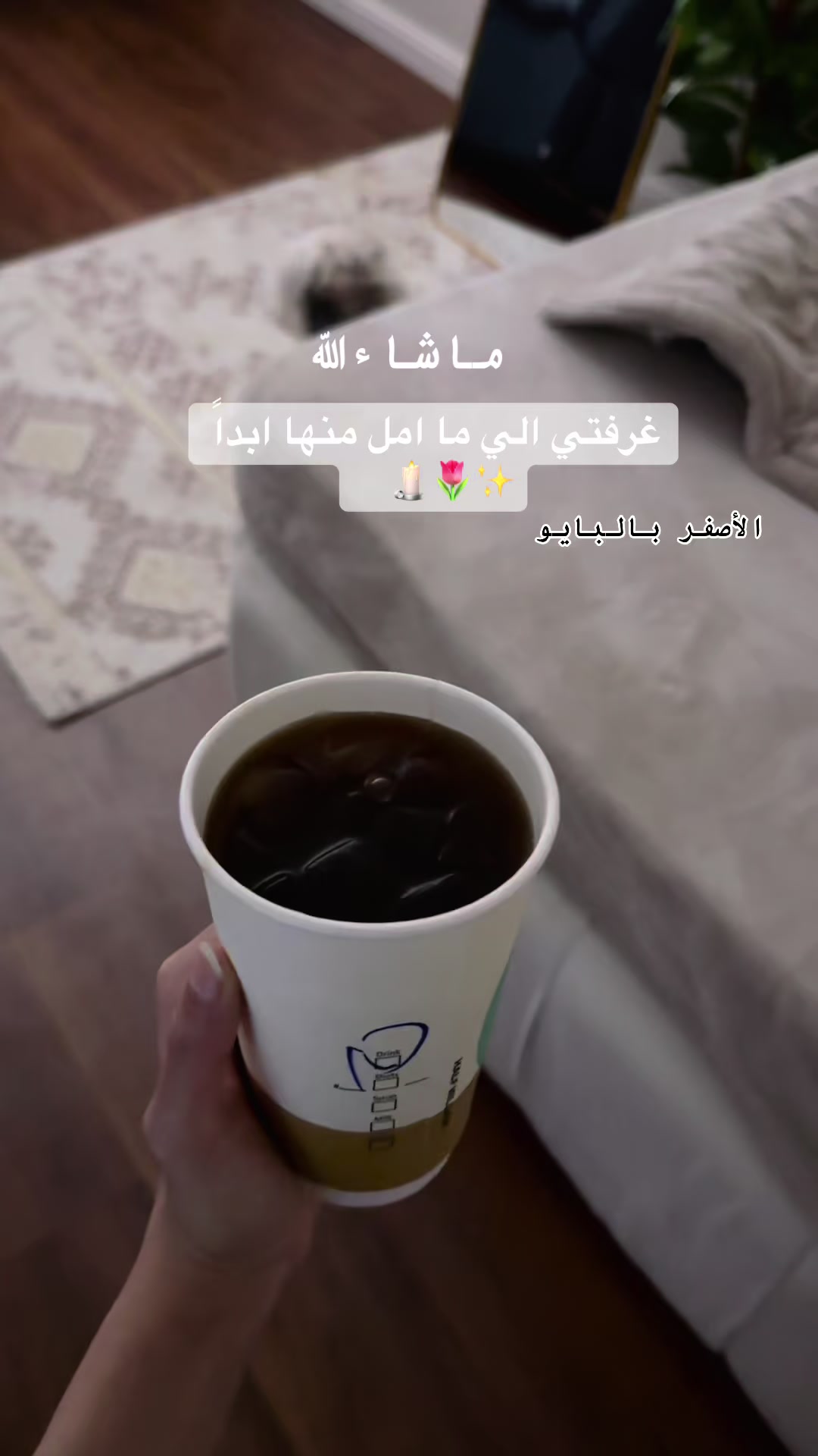 @RNO🪞🦋