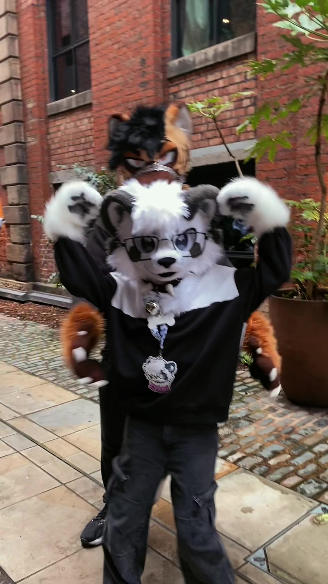 @🎬Lykoi🐾