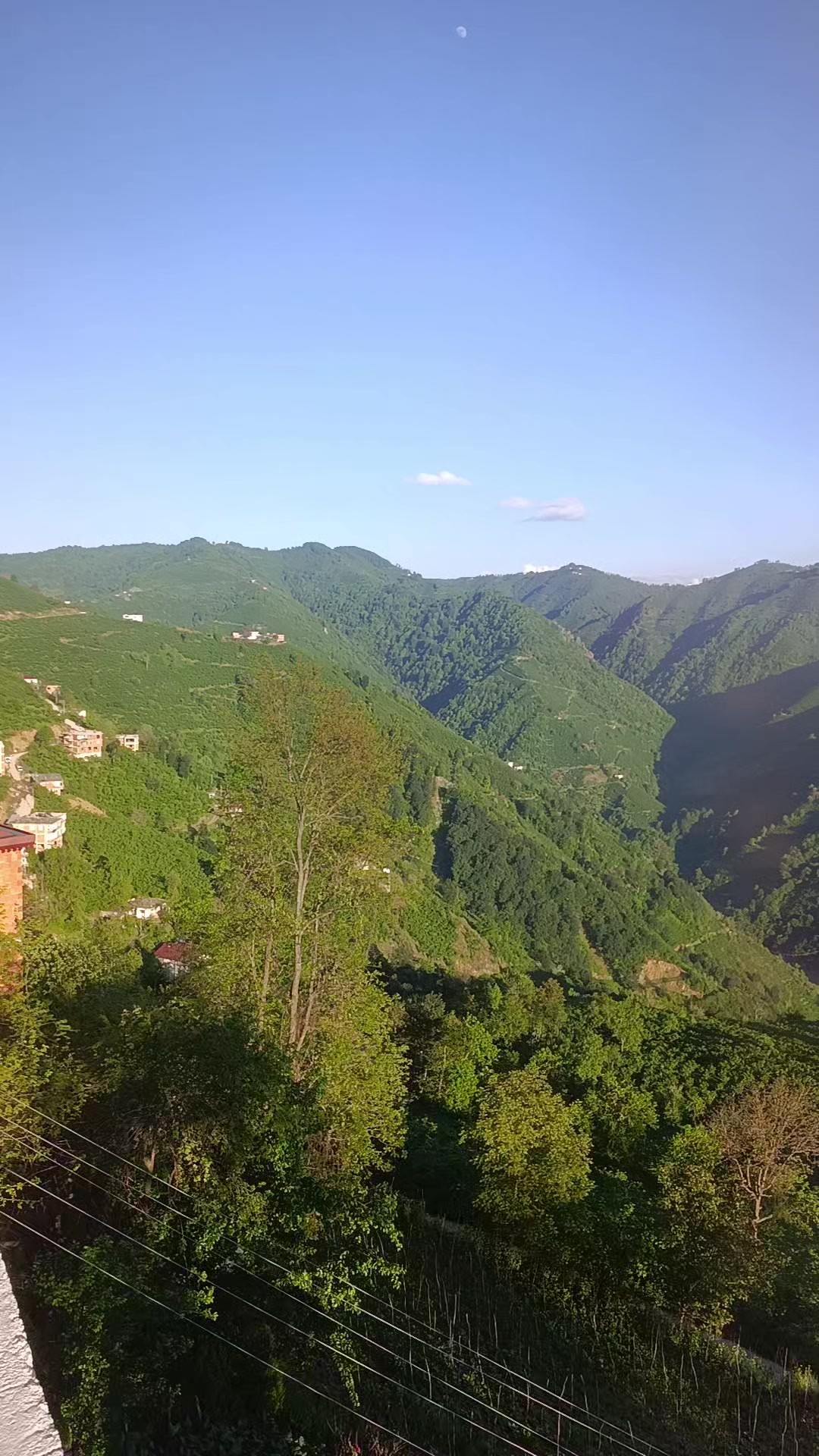 @Laz uşağı53