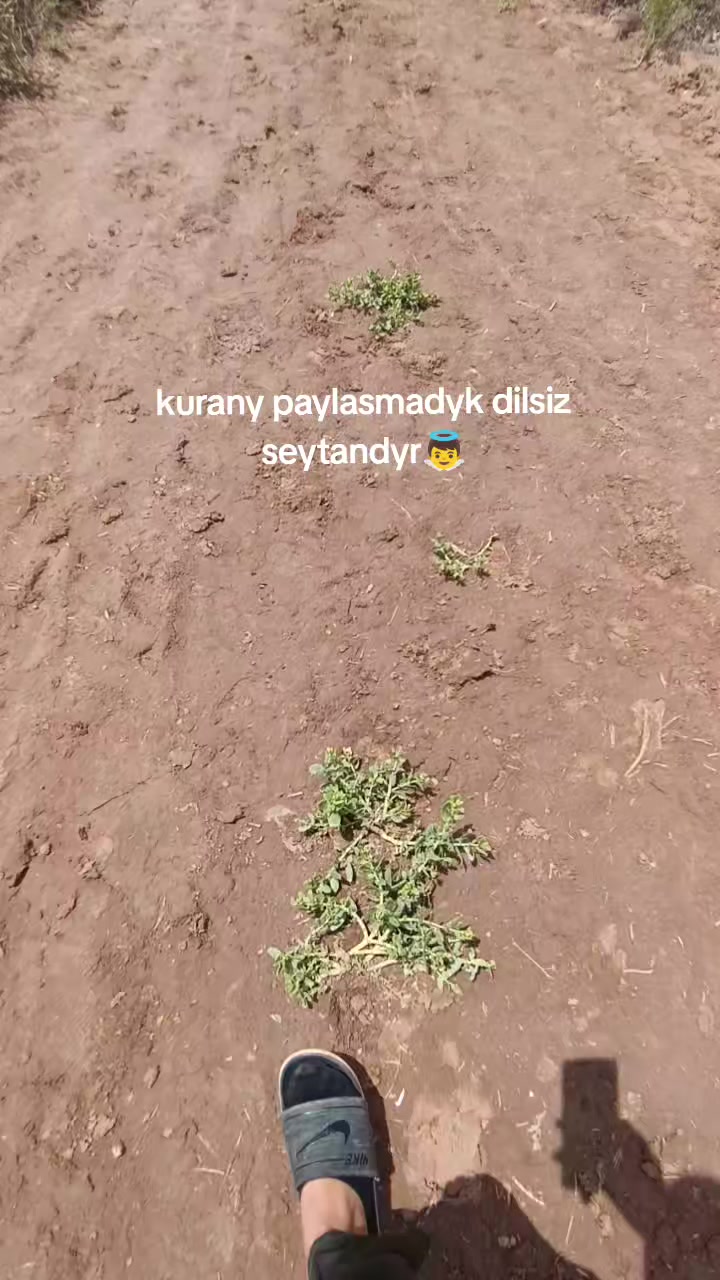 @17:12