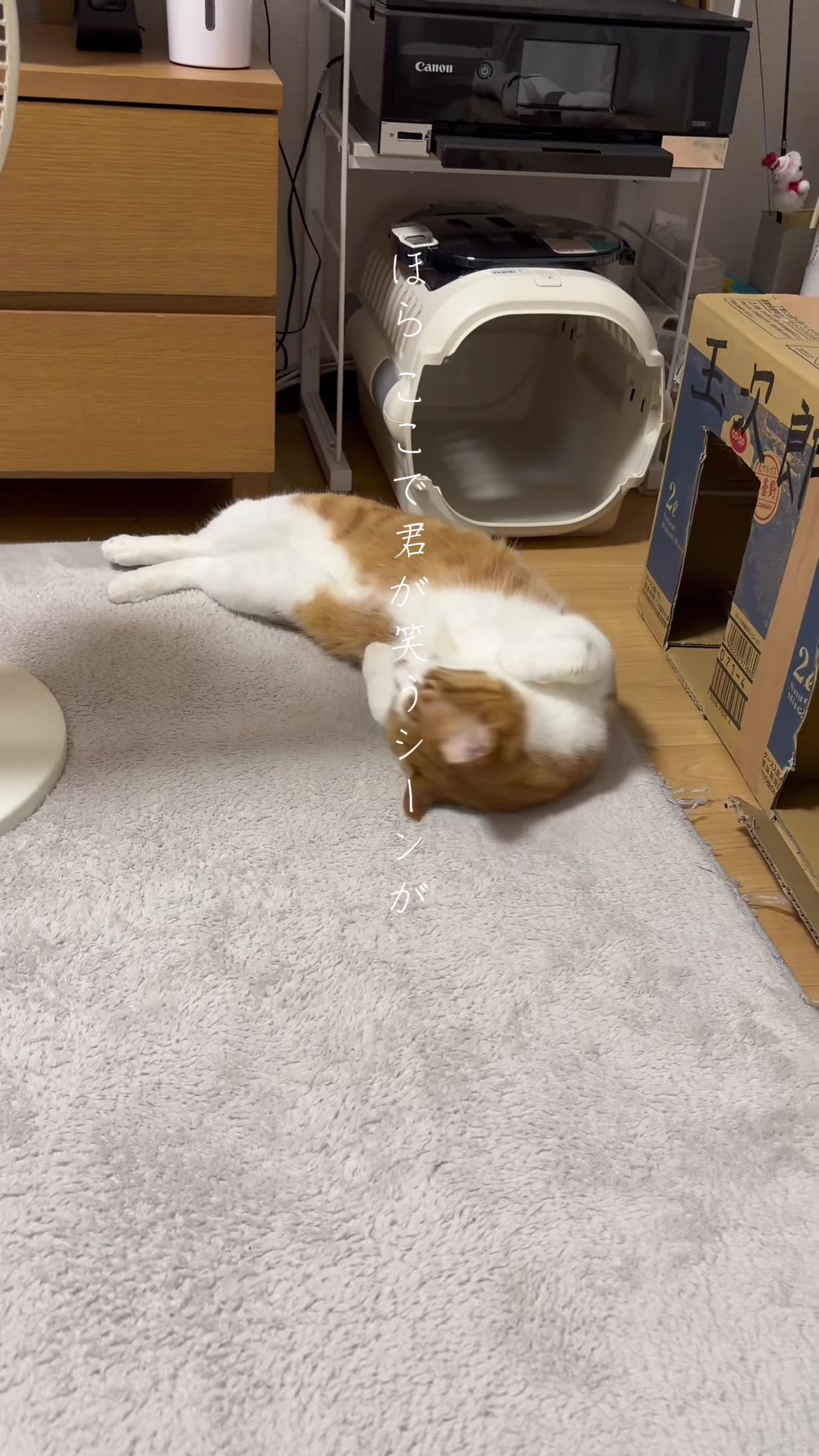 @玉次郎