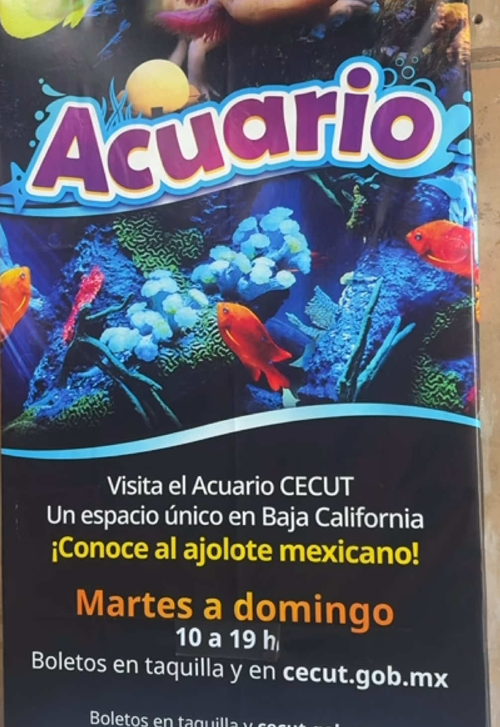 @Francisco