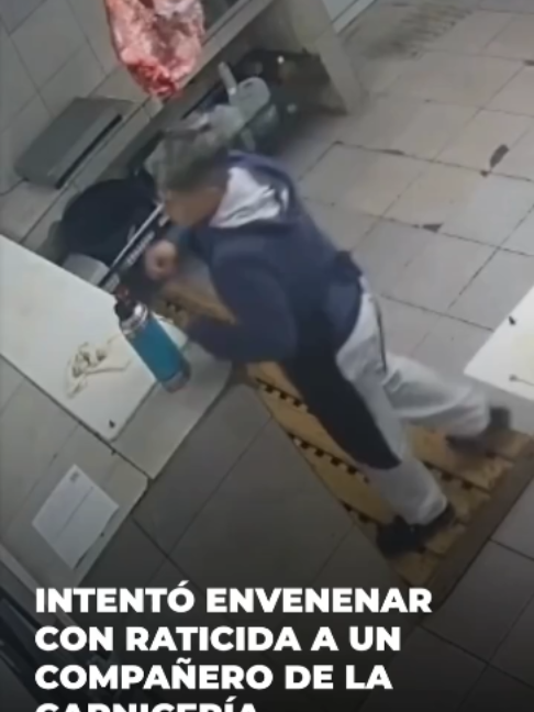 @lavozcomar