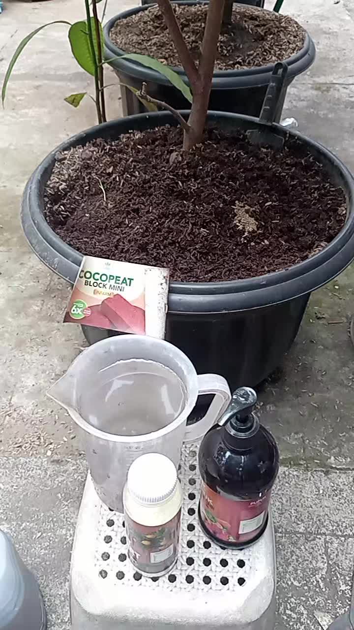 @Berkebun Berkah