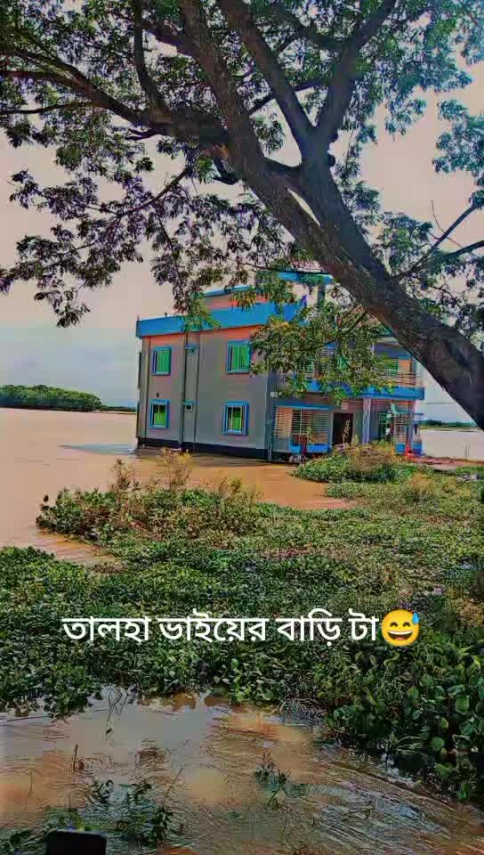 @Nayeem
