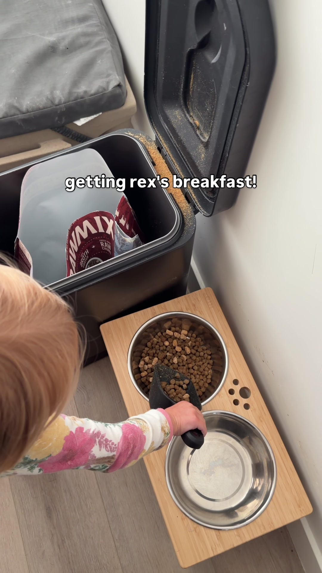 @Rex the Rottweiler