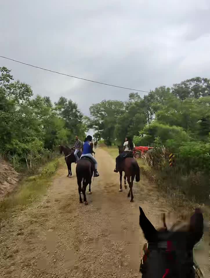 @likountrysosmovee🤠.