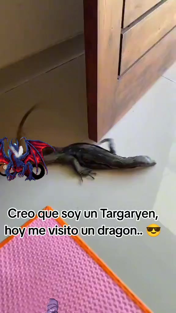 @Luan QC