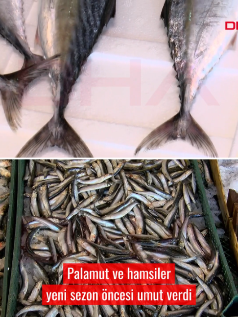 @Demirören Haber Ajansı