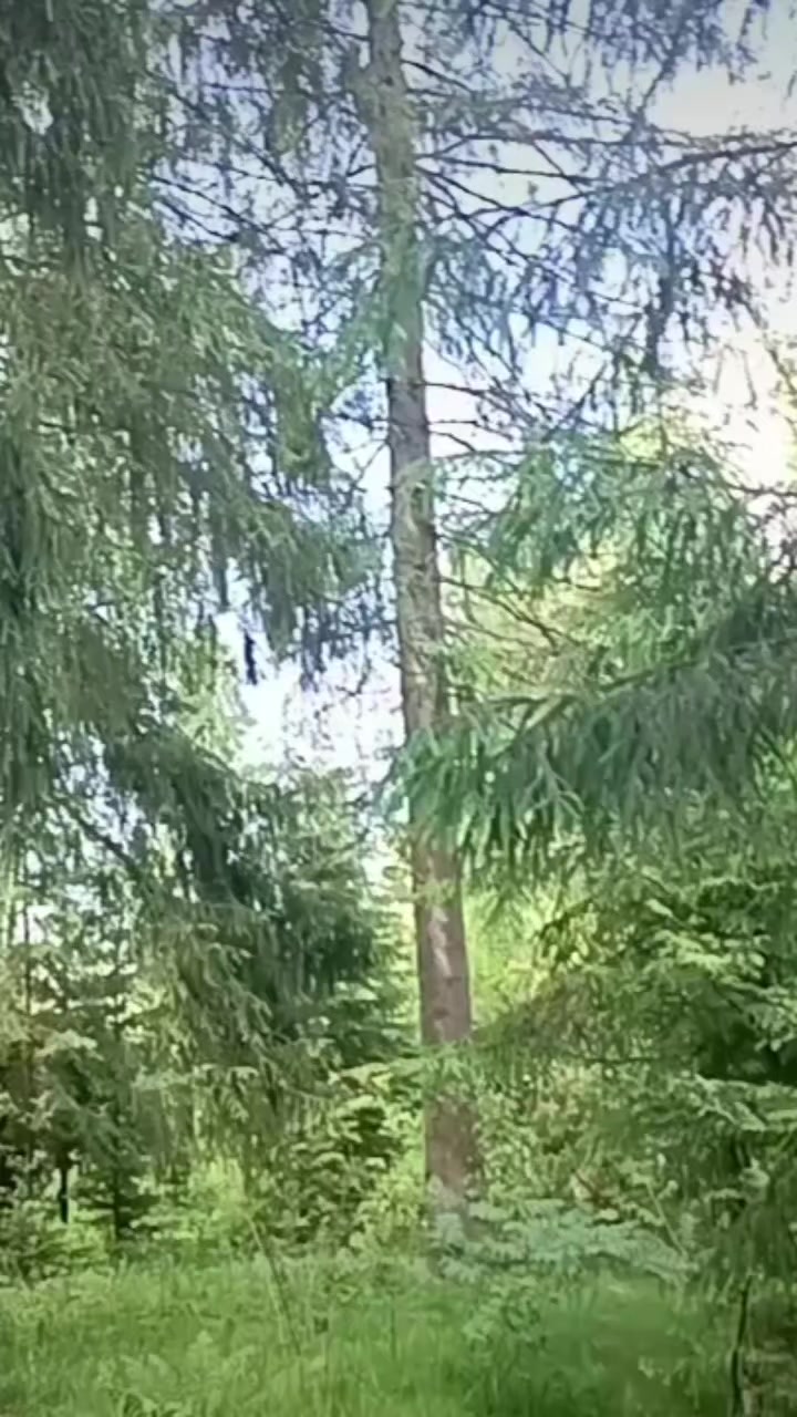 @Anastasia_7_7_2