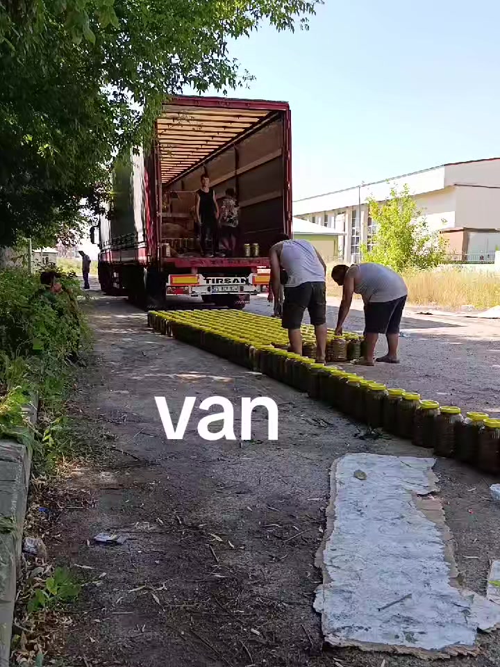 @DADALOĞLU