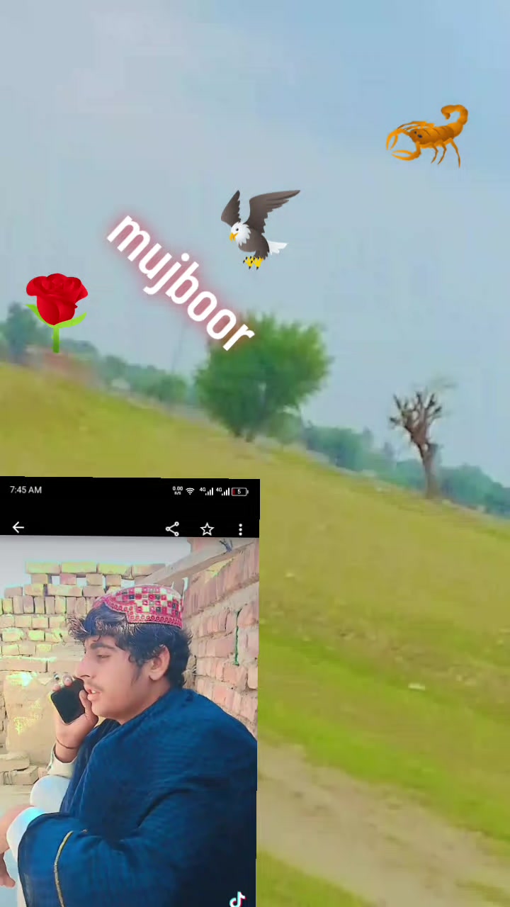 @saqlain majboor