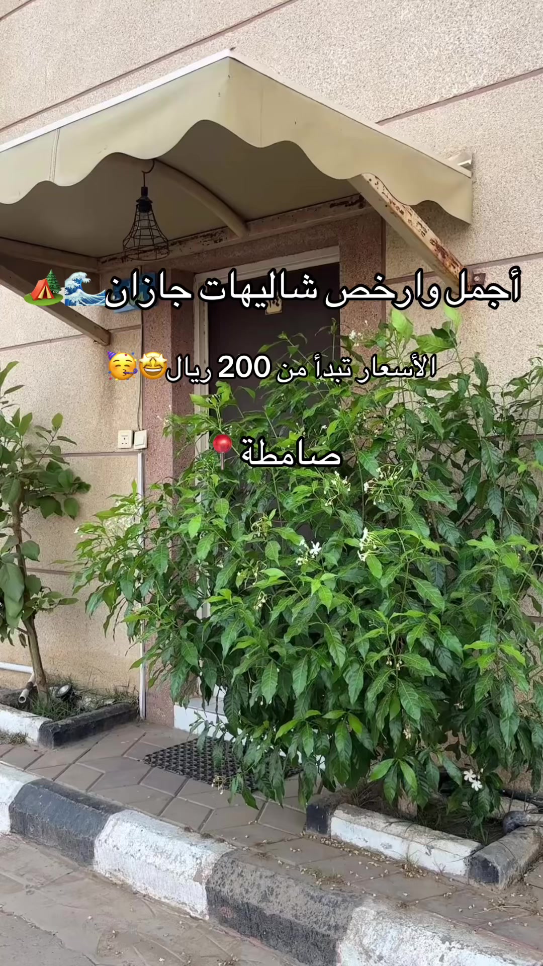 @شاليهات هدوء الشاطئ