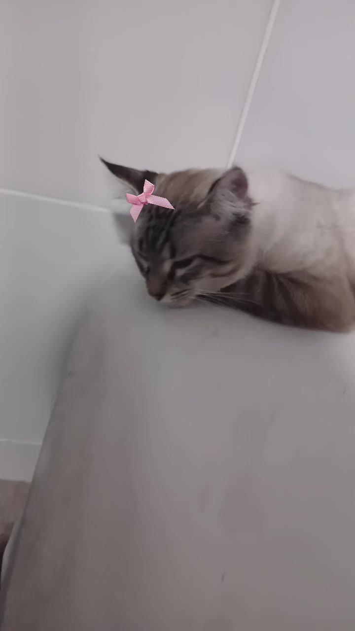 @โ๐ฆ๐๐๐๐ฃ๐12_20๐