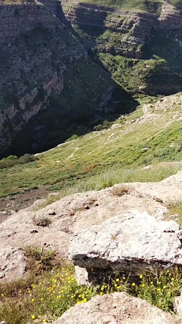 @جمال بالعباسي