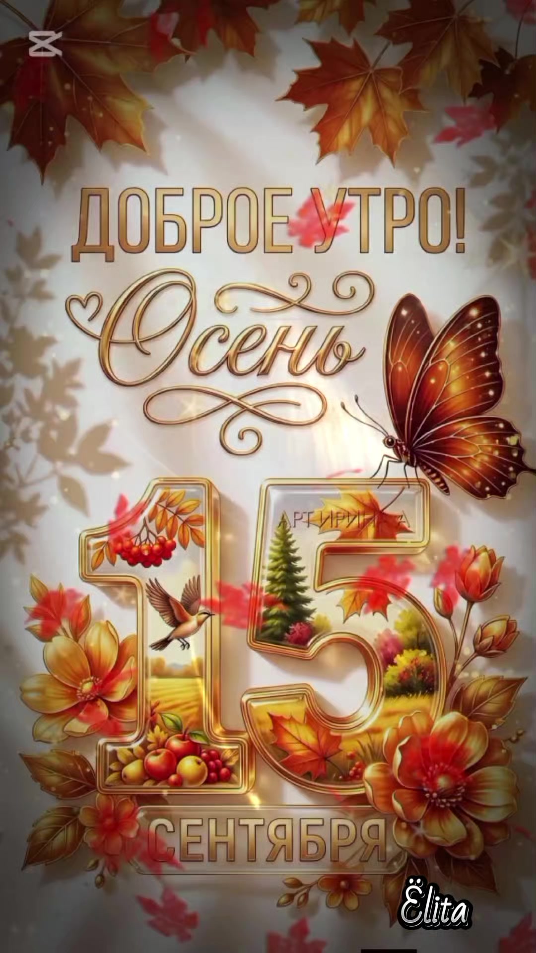 @Ёлита