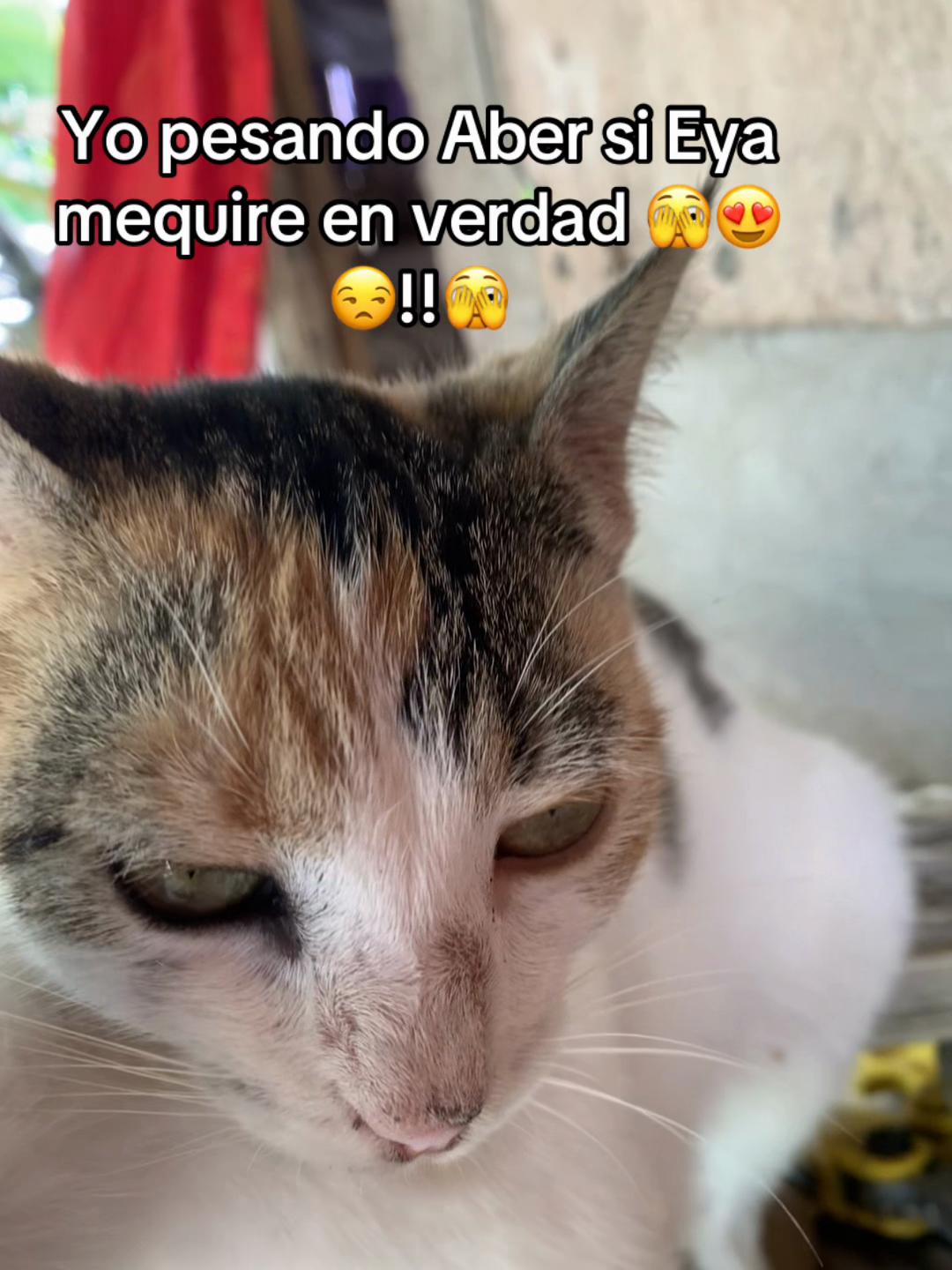 @auti502🫦🥵