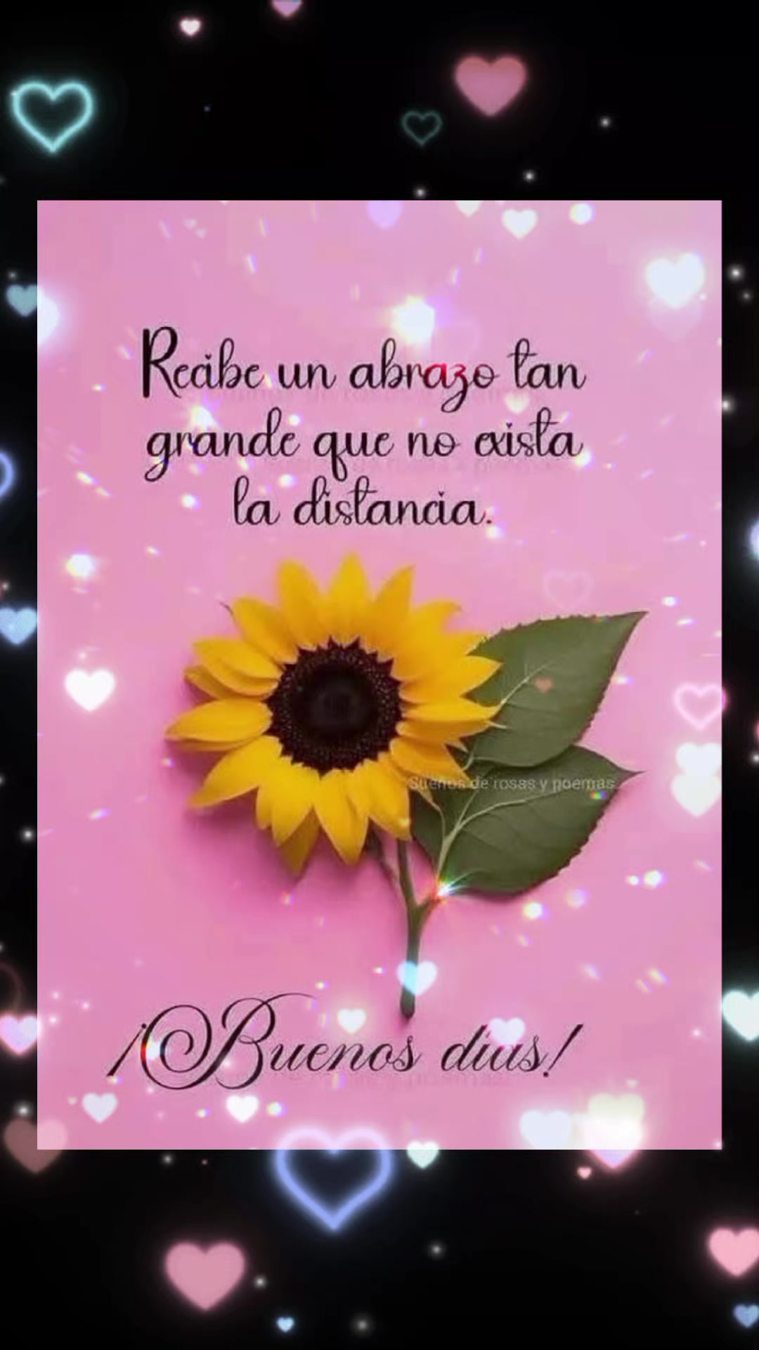 @DUQUESA 61