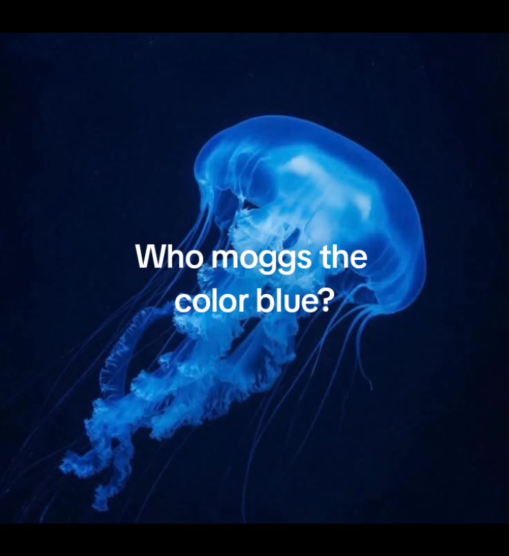 @✮⋆˙𝓮𝓵𝓵𝓮🇳🇬