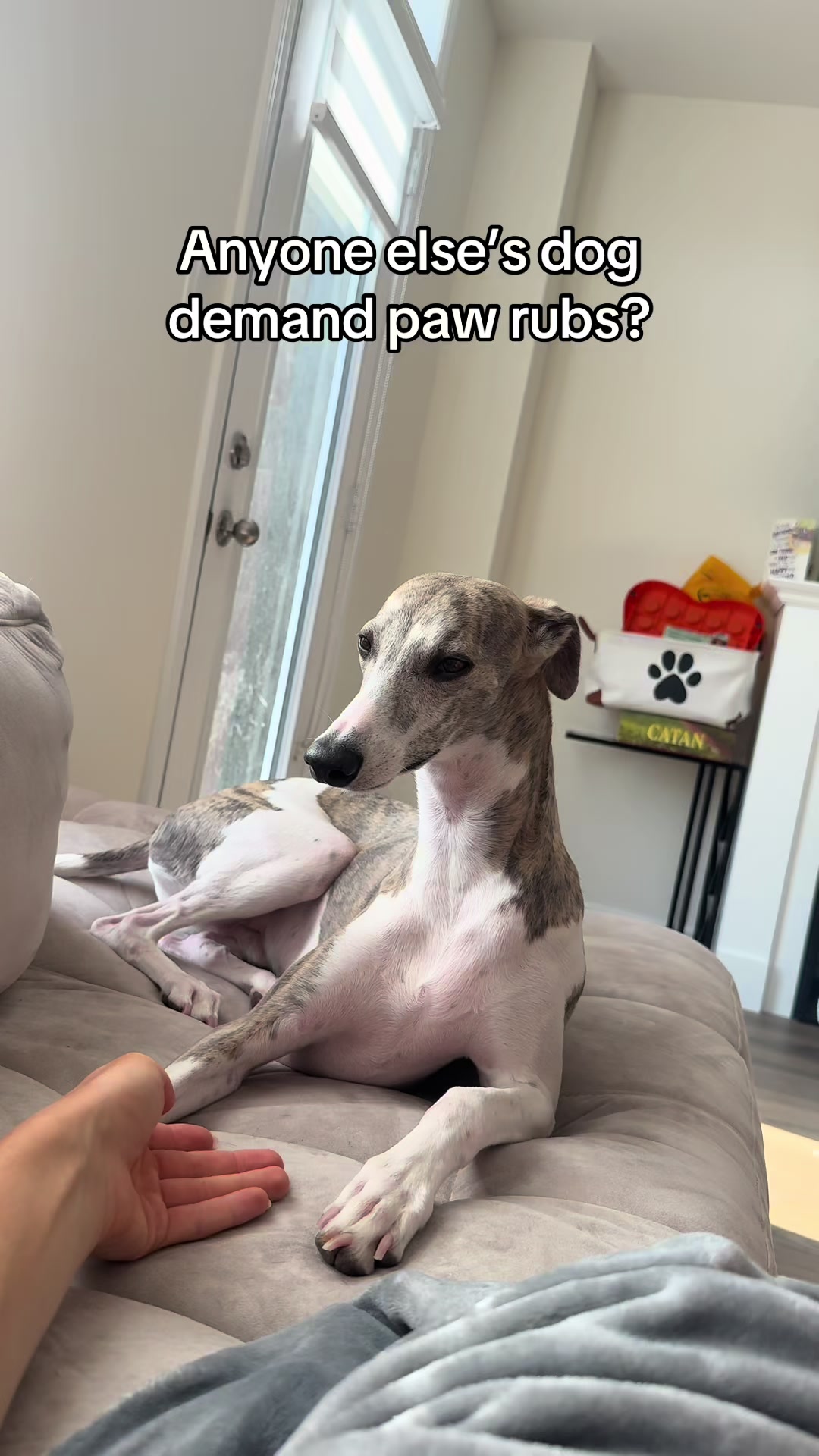 @Kayce Dog🤪🩷