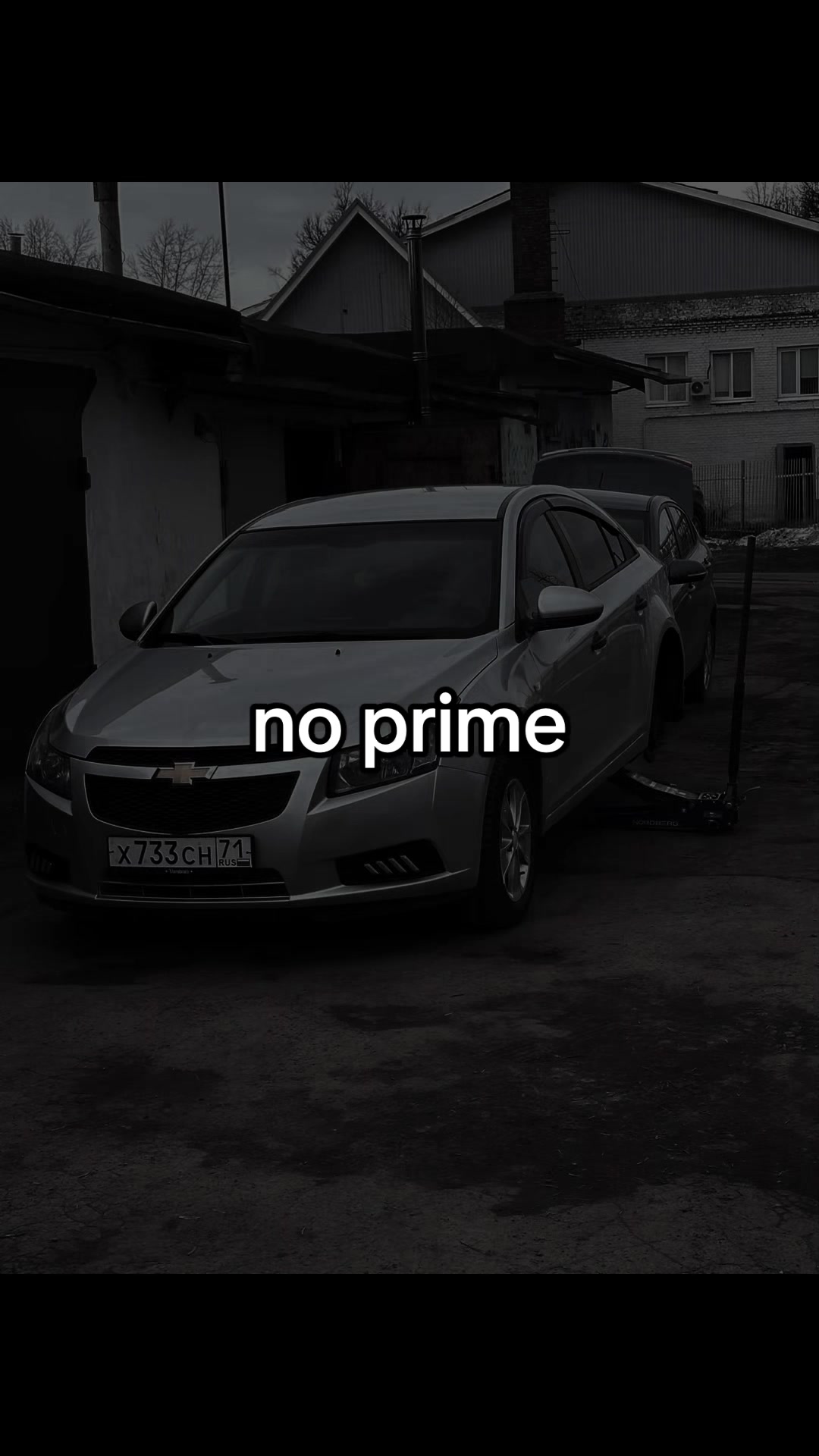 @Luxx_Polar