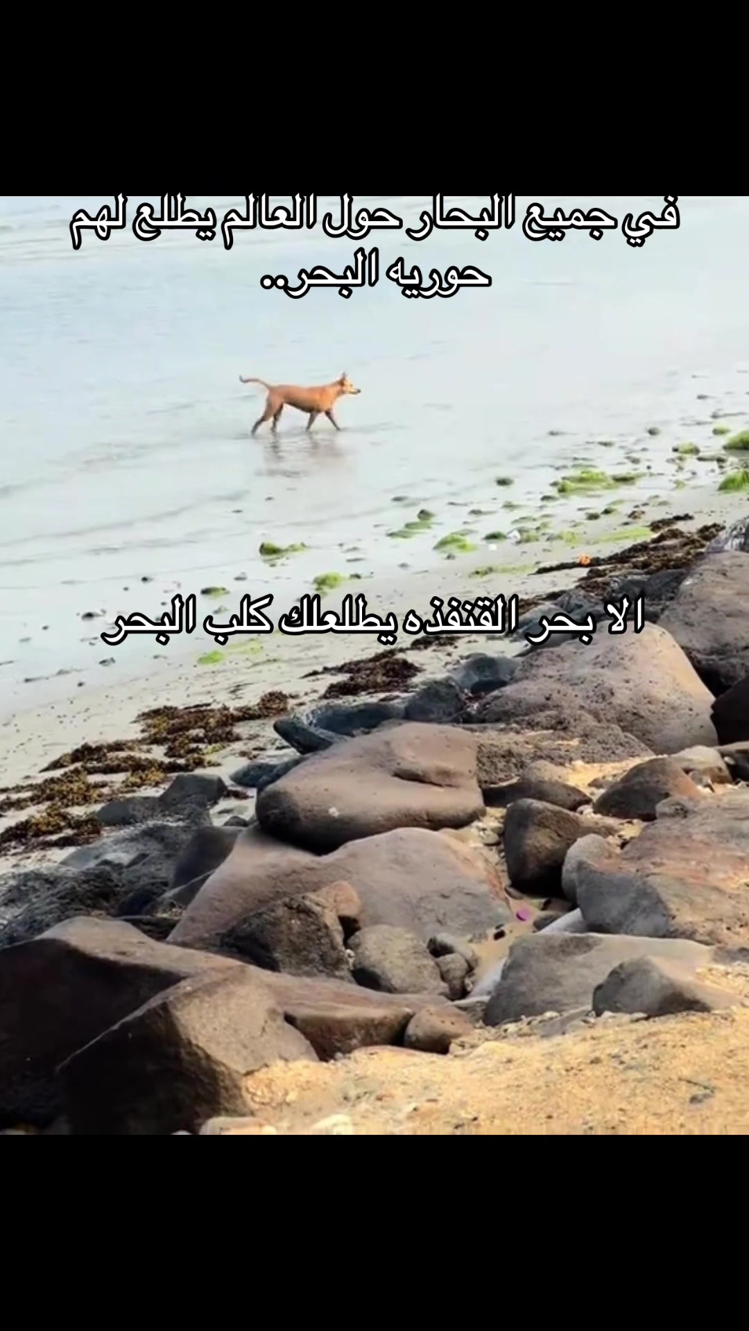 @عمر
