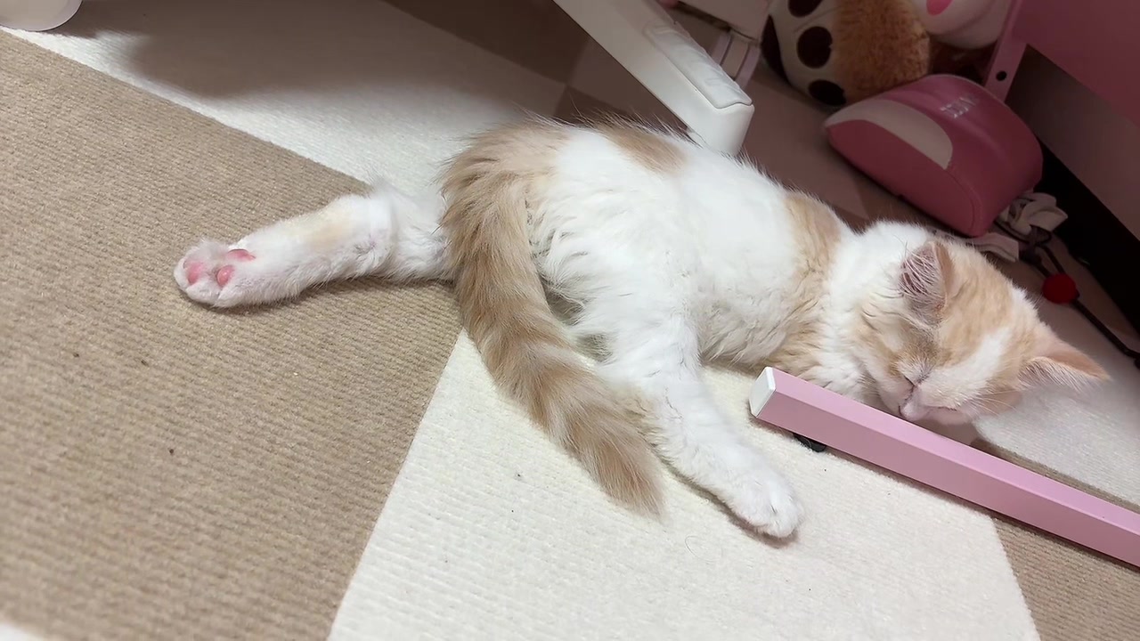 @Kiki