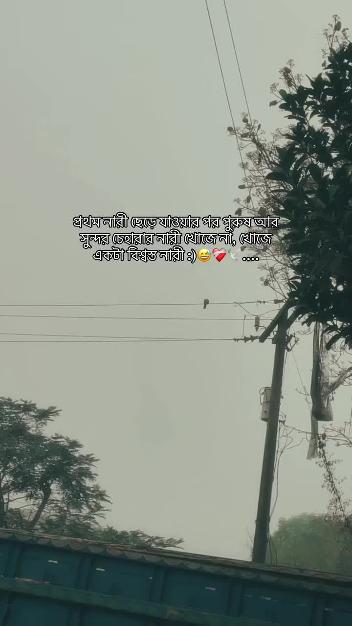 @🫥🫥🫥🫥