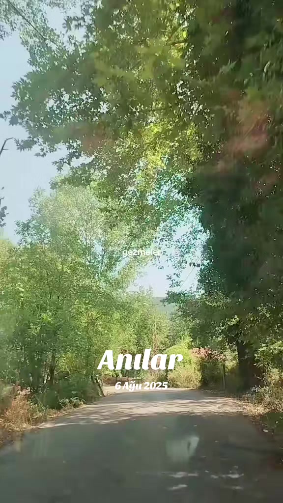 @ARZU YANARDAG