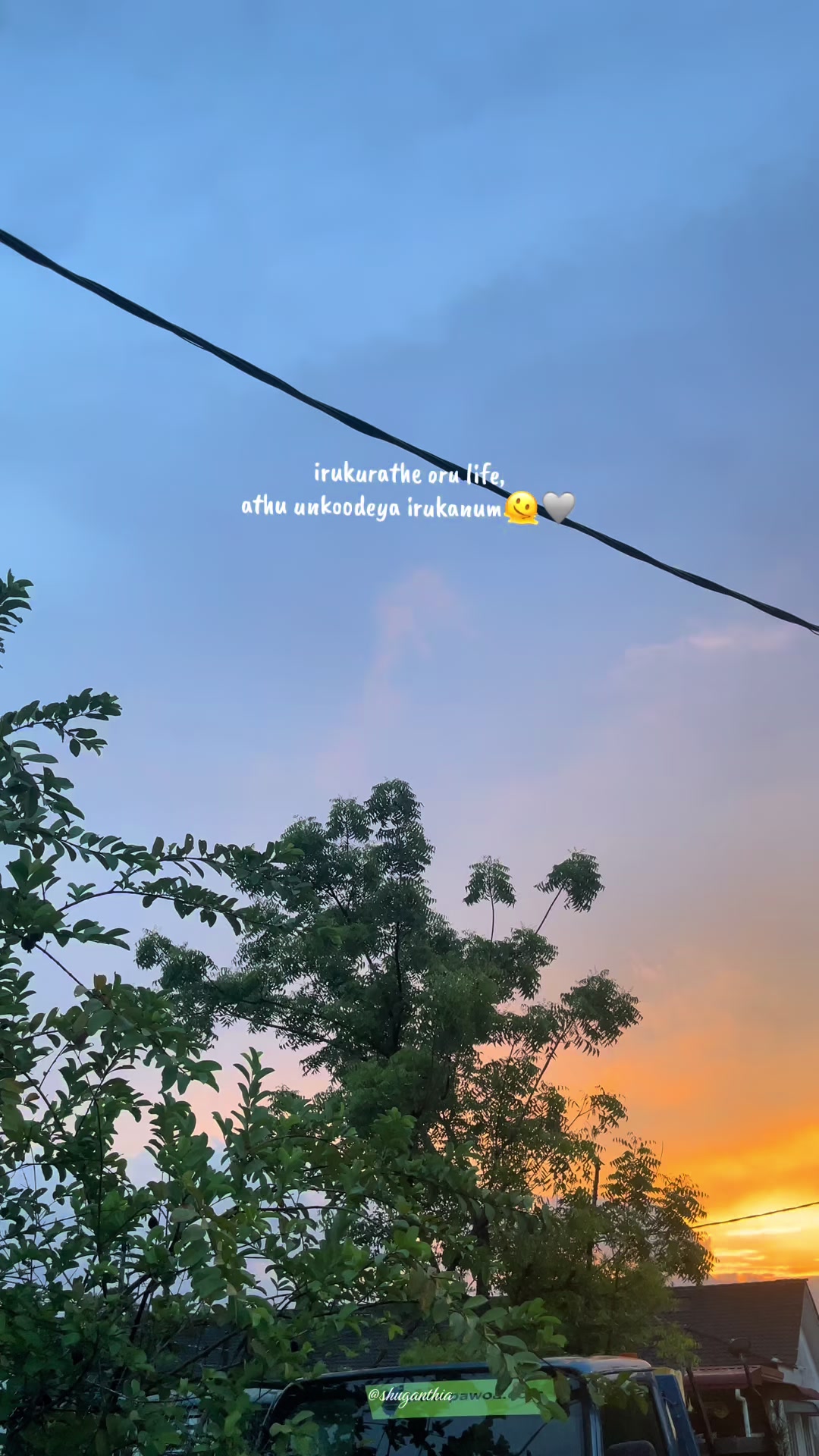 @𝓢 | 11 🎀