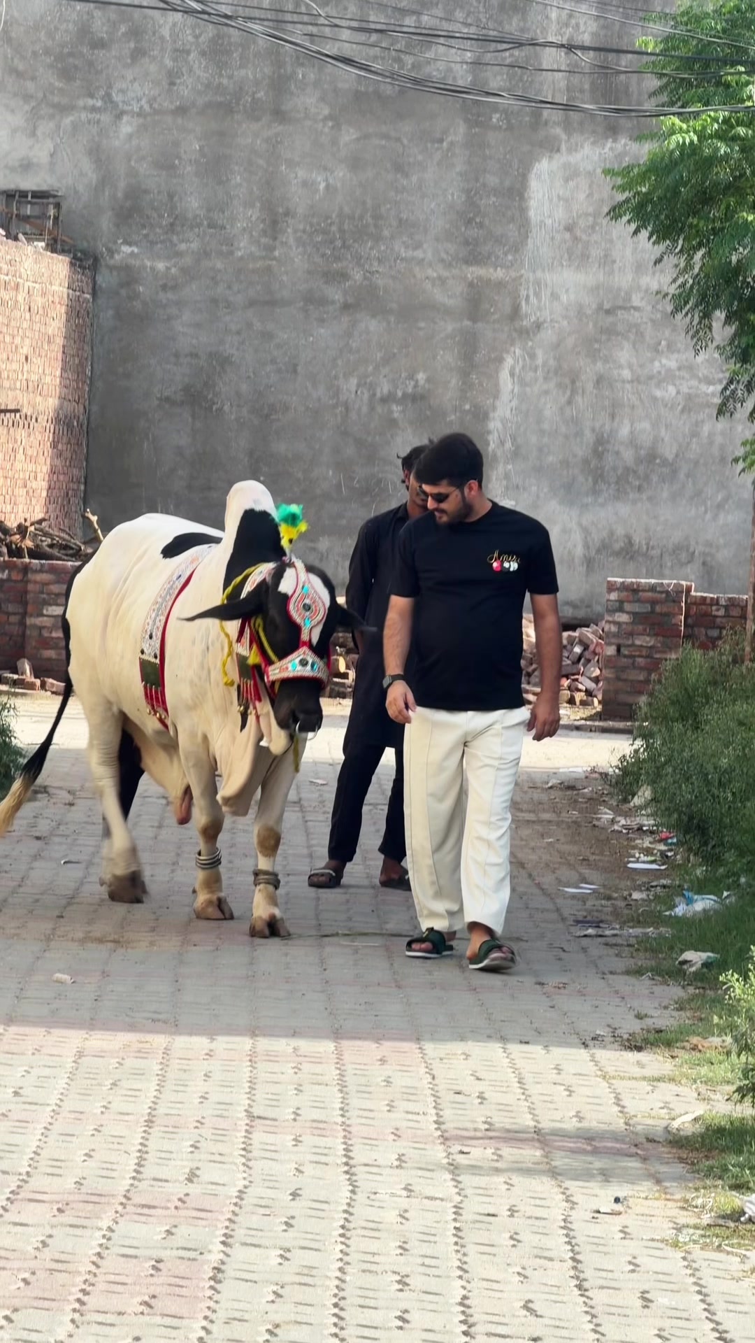 @👑علی بٹ👑