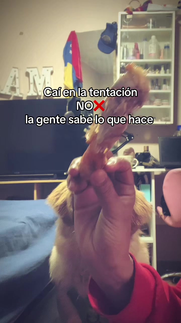 @Majo🏳️🌈