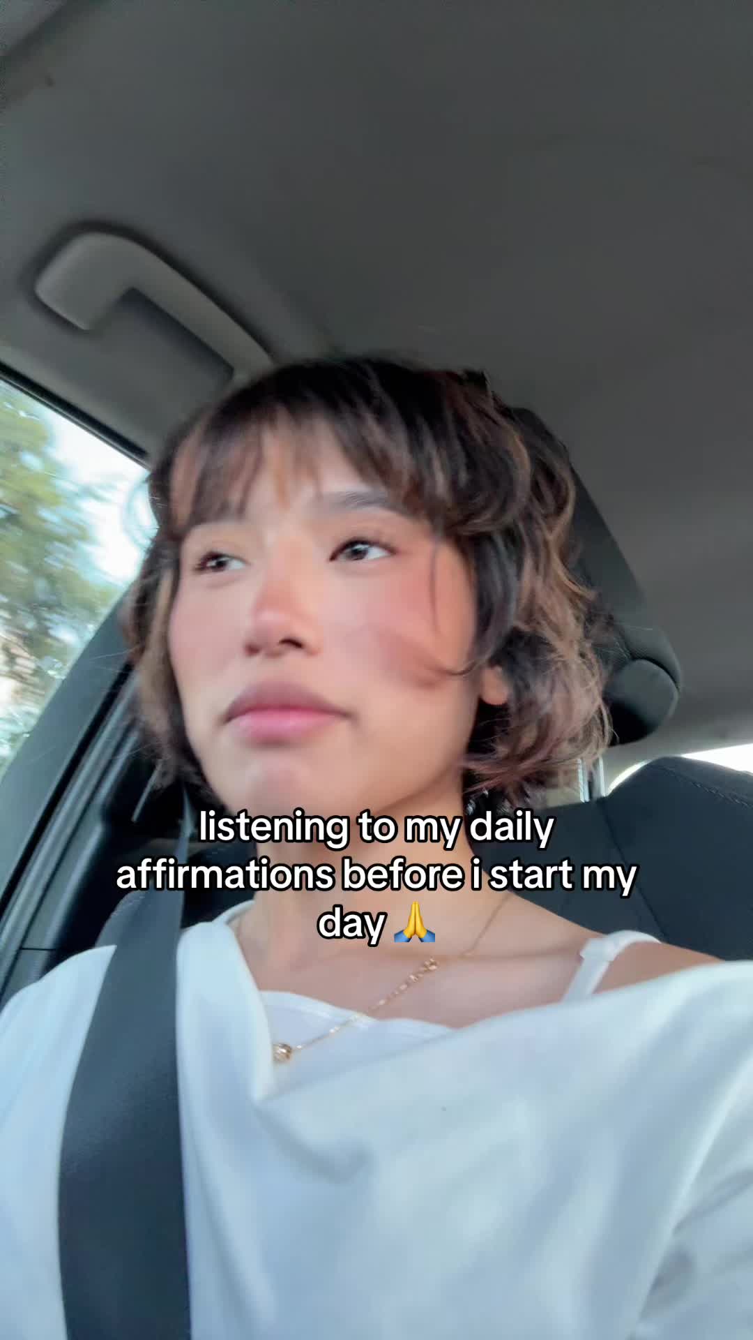 @beefy
