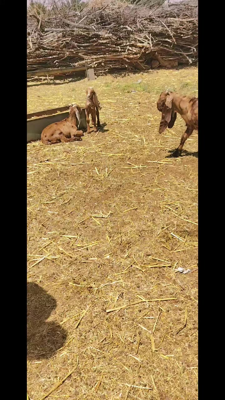 @الزمن الجميل