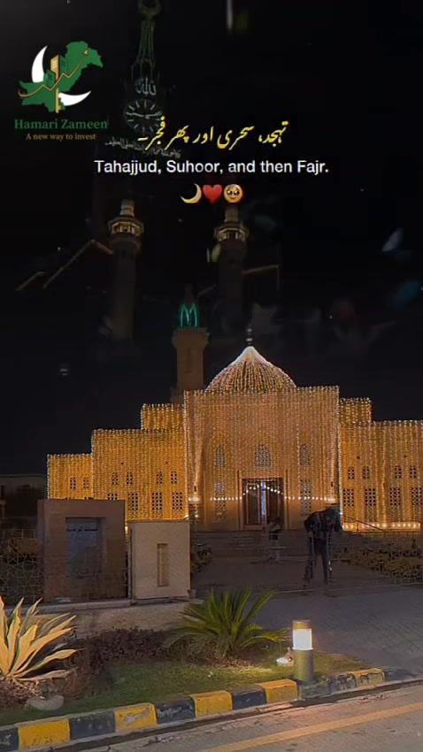 @Hamari Zameen