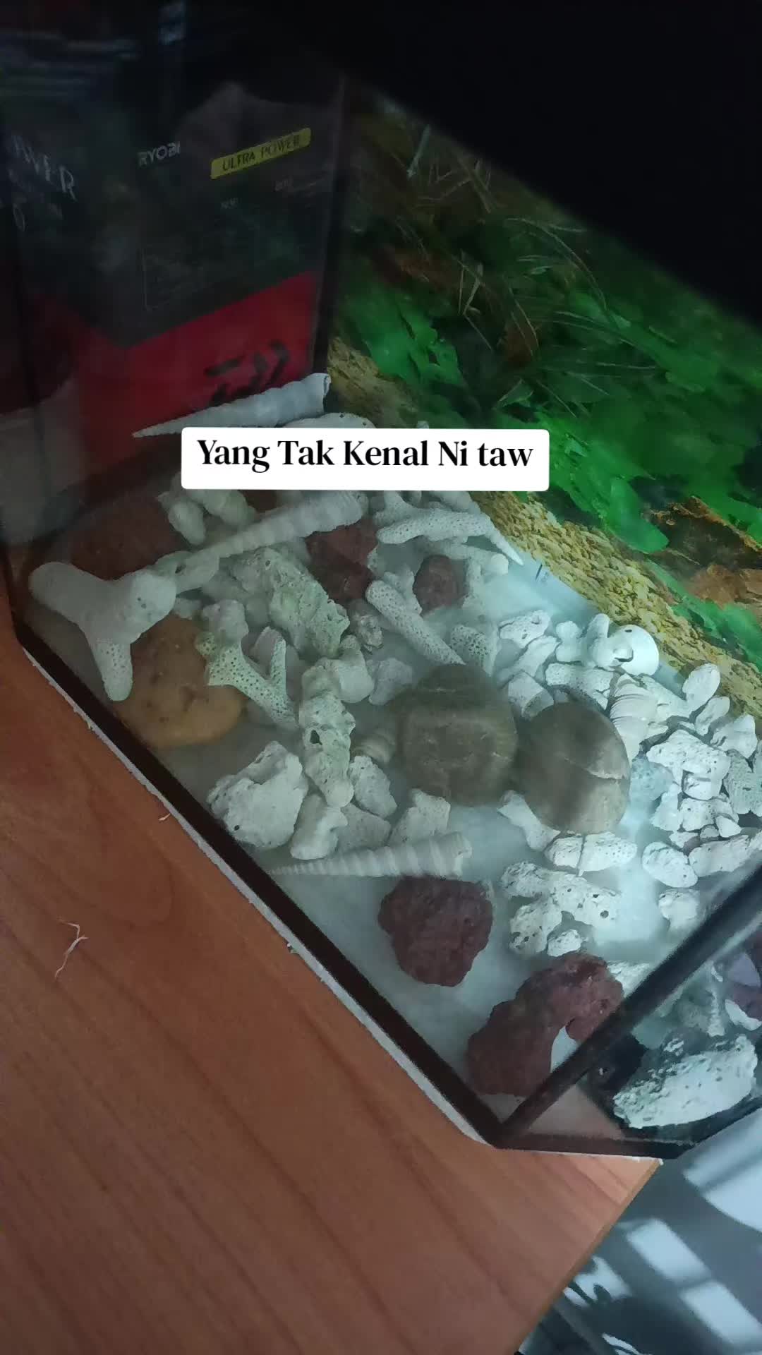 @MkSya Shop