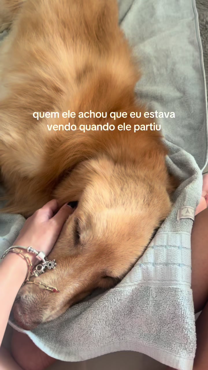 @Manu Sanches