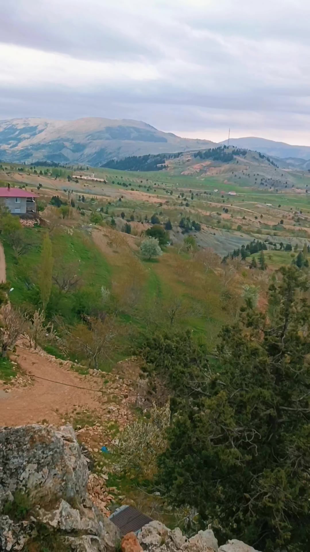 @DAĞCI.46