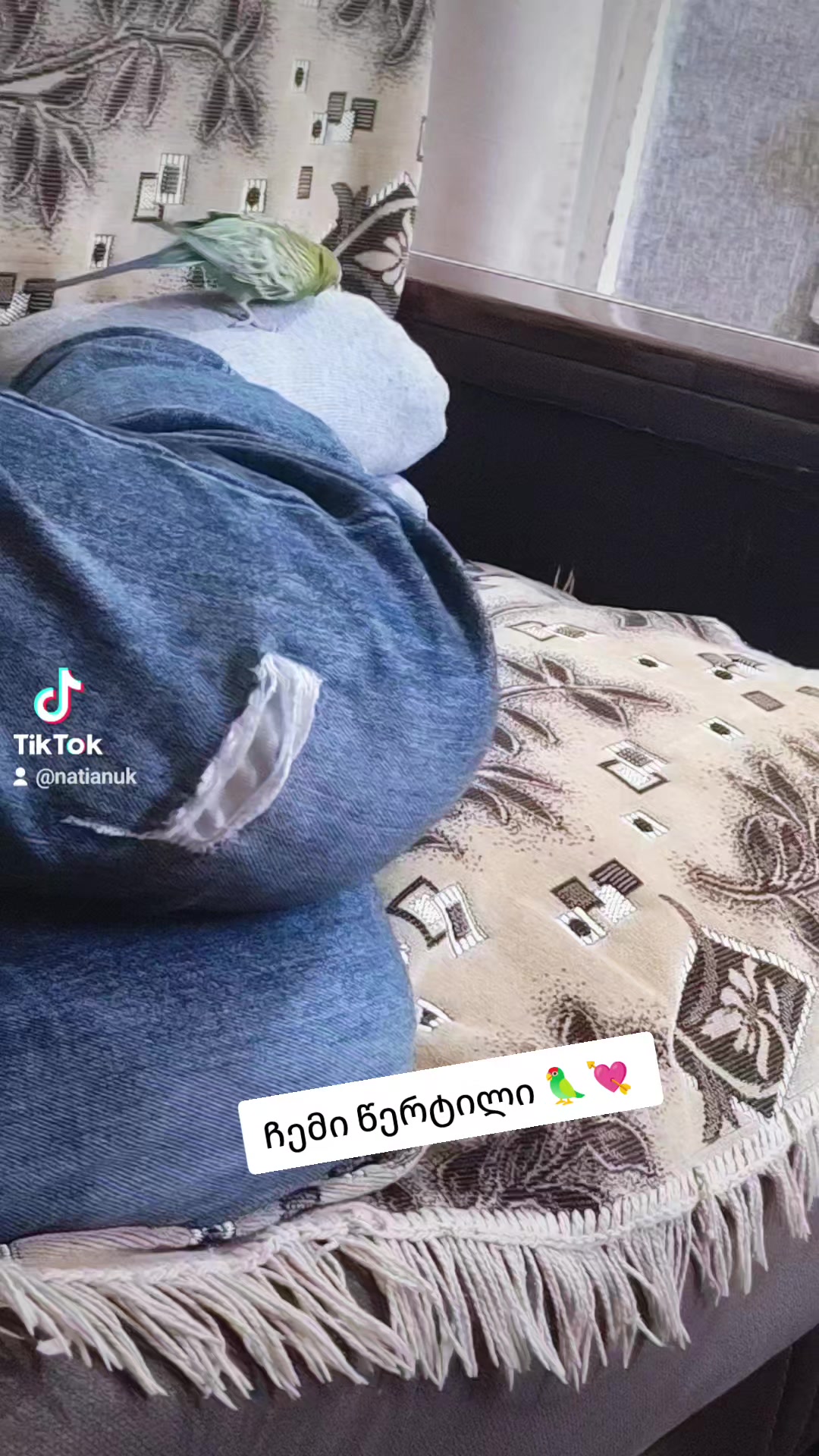 @🐞ნ10ა🐞