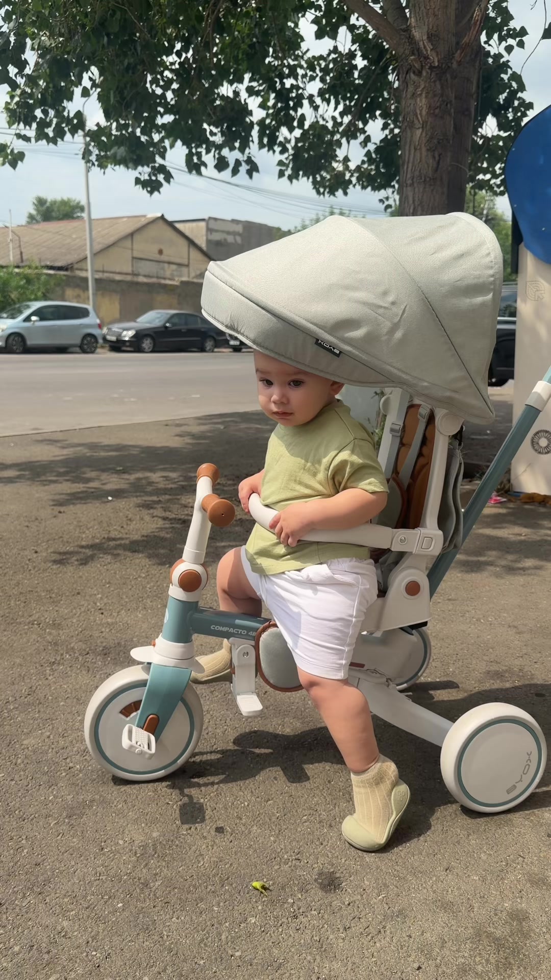@ნინი ბერაია